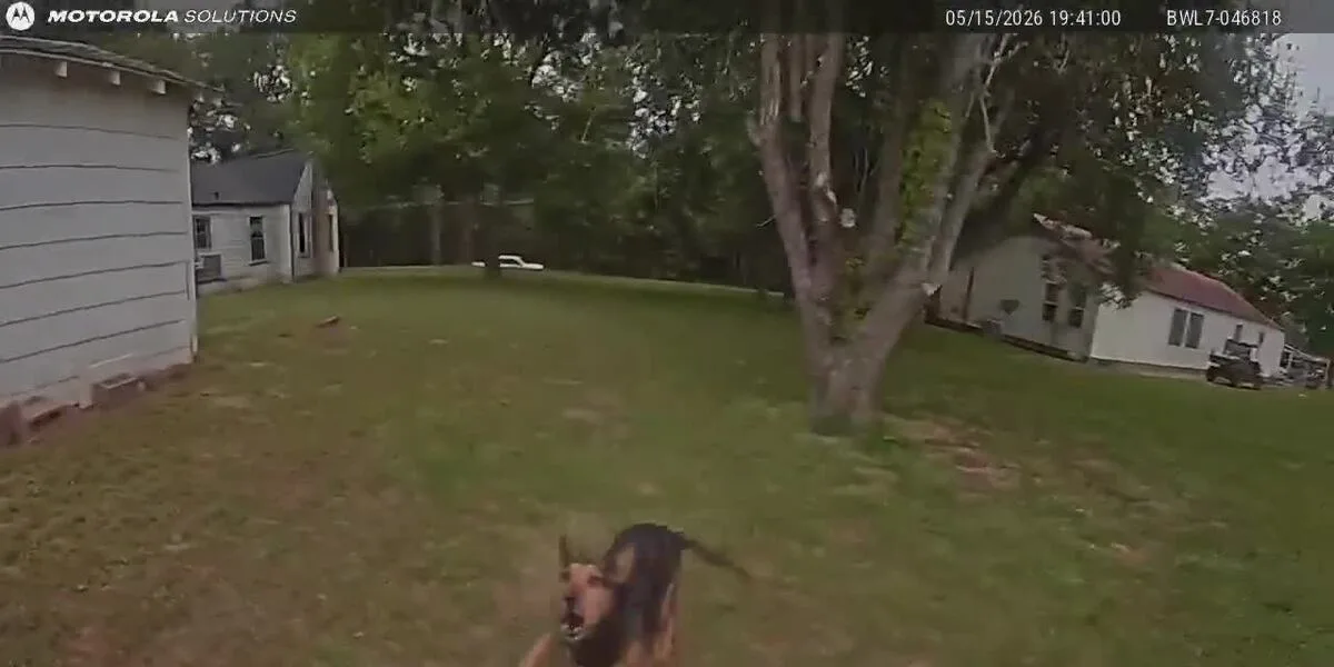 Arp police shoot dog during fire investigation, chief says