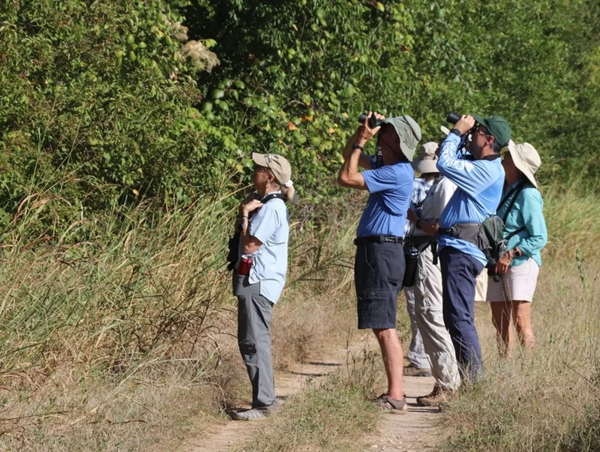 Summer comes alive at The Cibolo -- CIBOLO CENTER FOR CONSERVATI