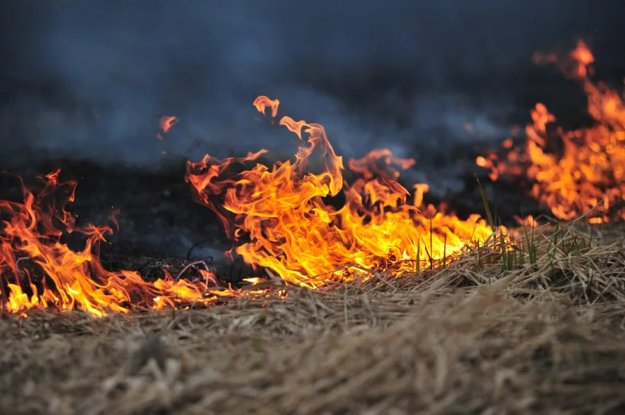 Evacuations ordered for Line Fire in eastern New Mexico