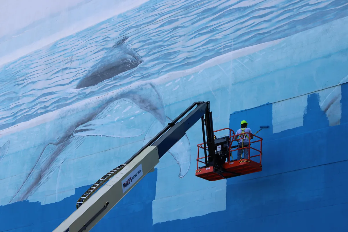 'This feels personal': Beloved Dallas whale wall mural painted over for World Cup display