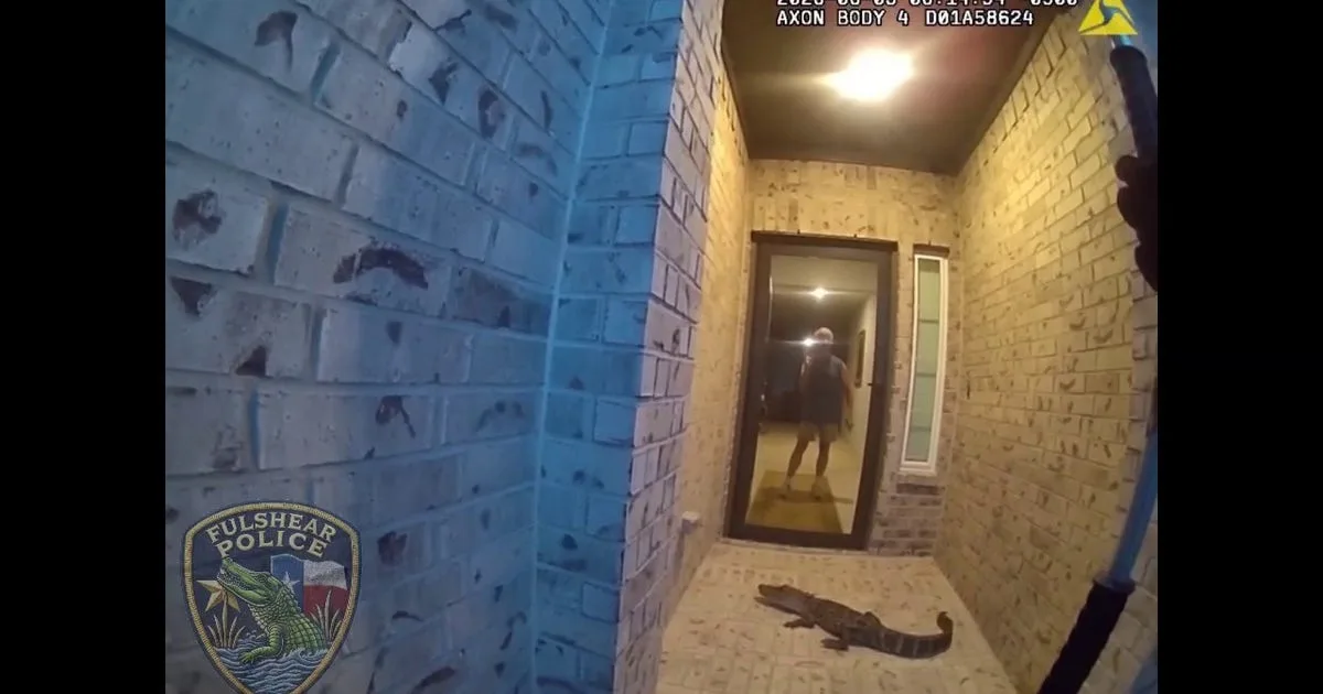 Texas homeowner mistakes alligator on the porch for an Amazon package delivery