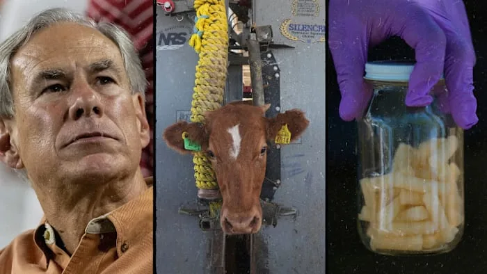 Gov. Abbott activates Texas emergency operations center as state ramps up screwworm response