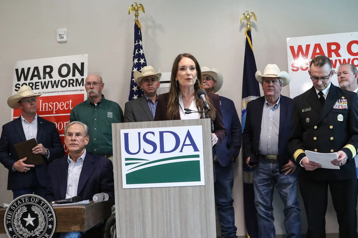 Kerrville ground zero for screwworm testing