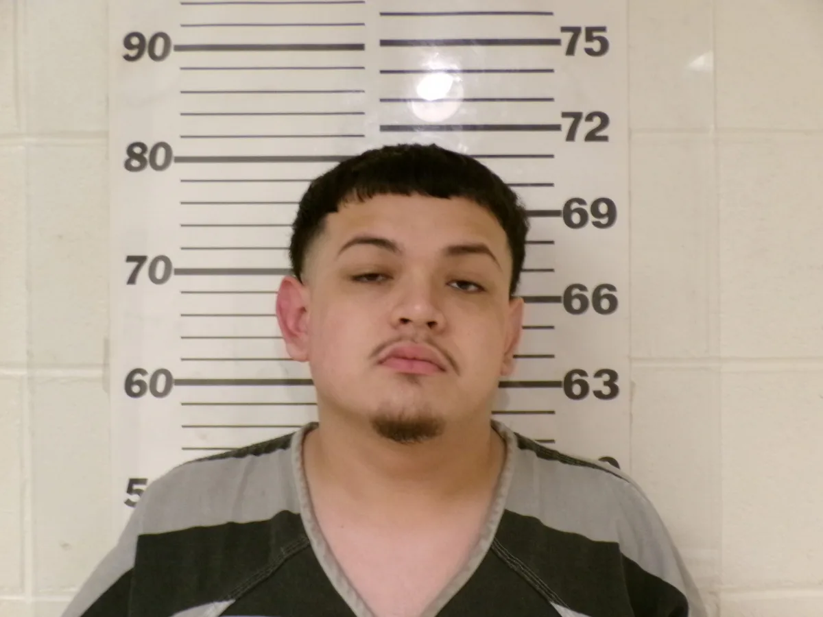 Teen arrested in connection to Feb. hit-and-run that left 73-year-old dead