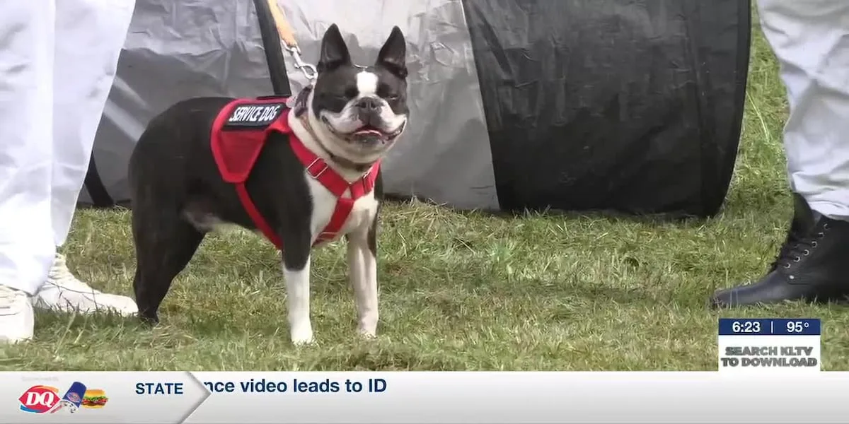 Rusk County prison dog training program expands to include service dogs
