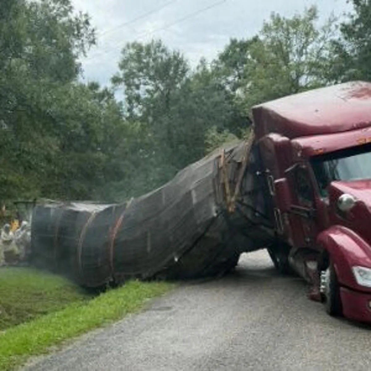 Millions of honeybees escape into rural Texas neighborhood after a semitrailer crash