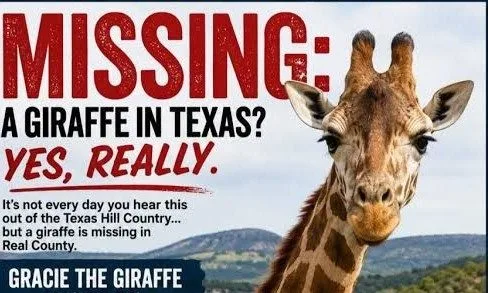 Gracie the Giraffe Memes Bring Awareness to Missing Exotic Animal