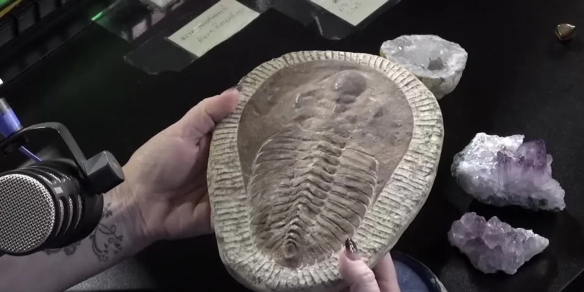 Dino bones, geodes and demos set for East Texas Gem and Mineral Show