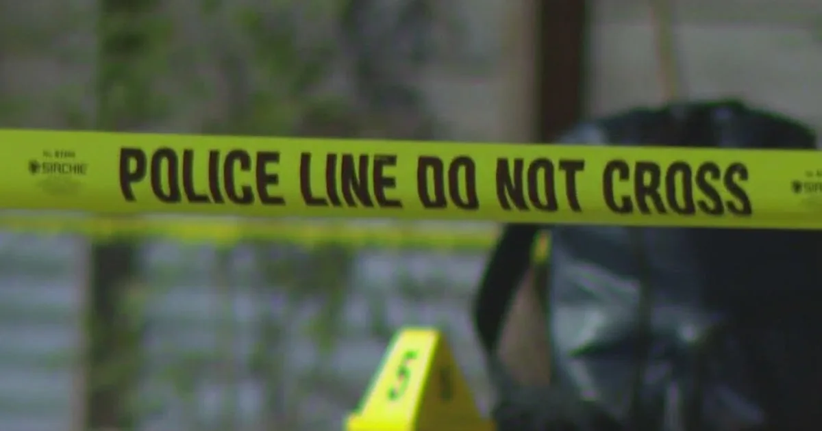 Manor car crash kills 1 woman, injures several others, including 2 children: police