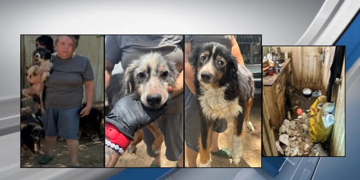Smith County woman wanted after 38 dogs found in poor living conditions