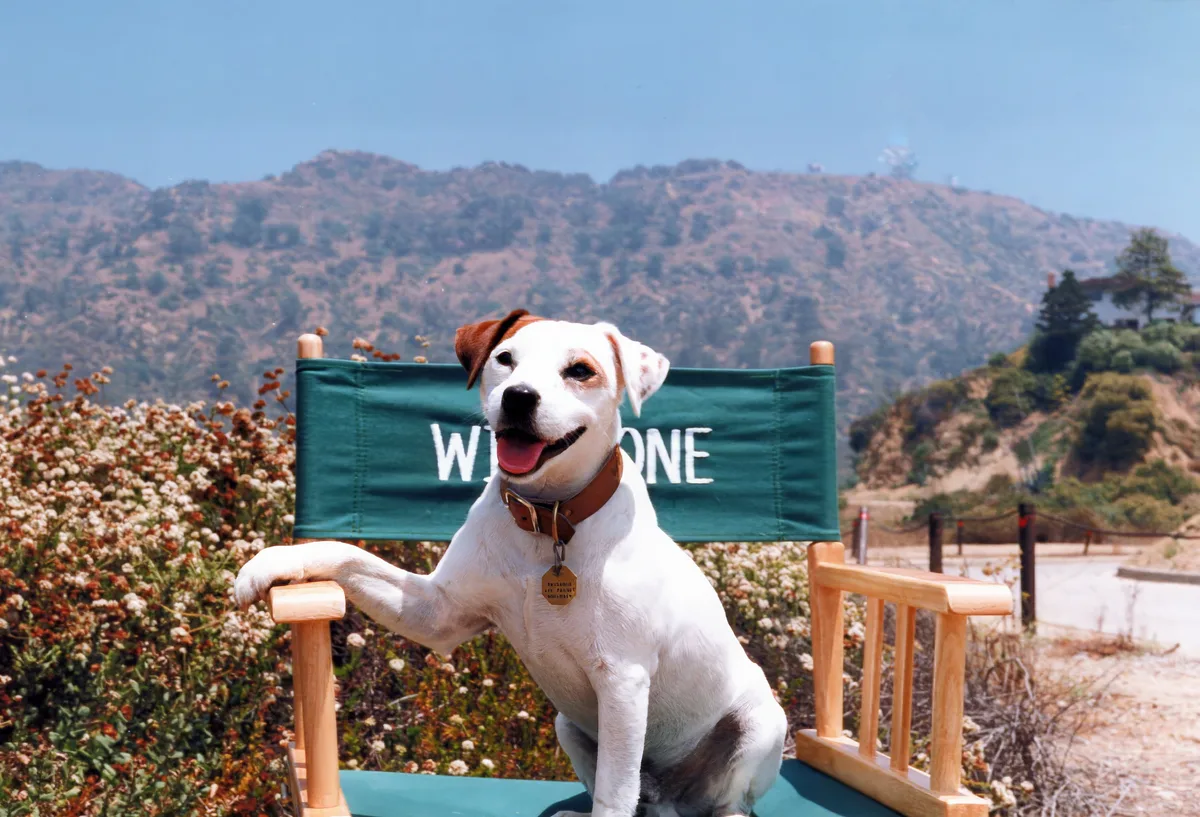 North Texans created 'Wishbone', now they're honoring the talking dog with a documentary