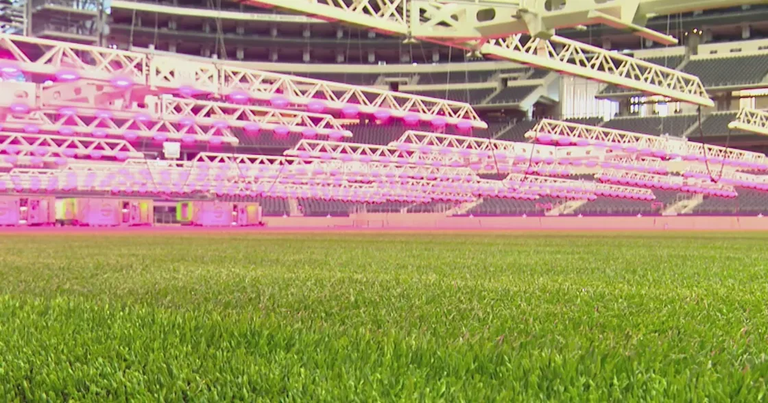 AT&T Stadium unveils new World Cup grass pitch