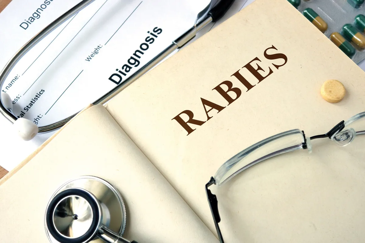 KCAC reports 6th rabies case in Kerr County for 2026