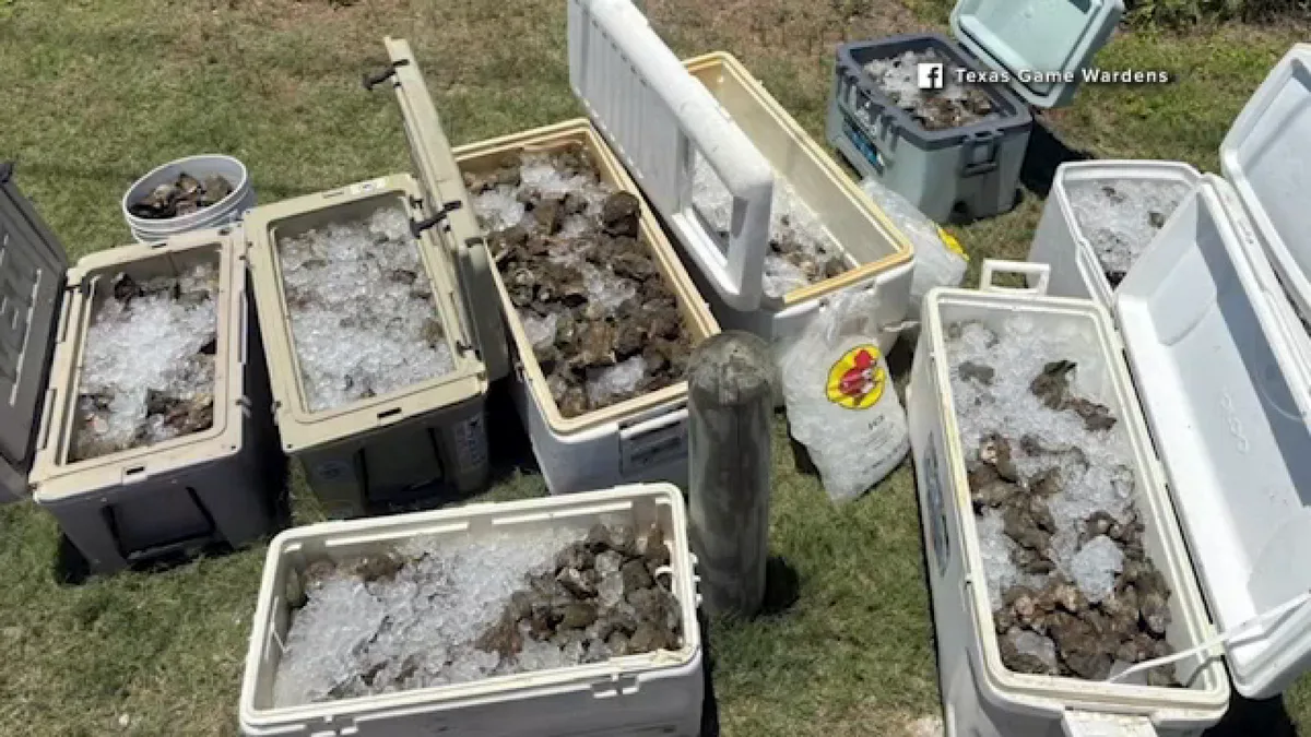 9 large buckets of illegally harvested oysters recovered in Brazoria County, Texas Game Wardens say