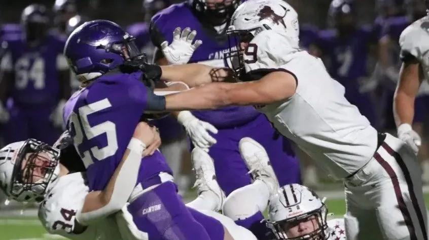 Lions picked third in district by DCTF magazine, 10 other local teams expected to reach playoffs