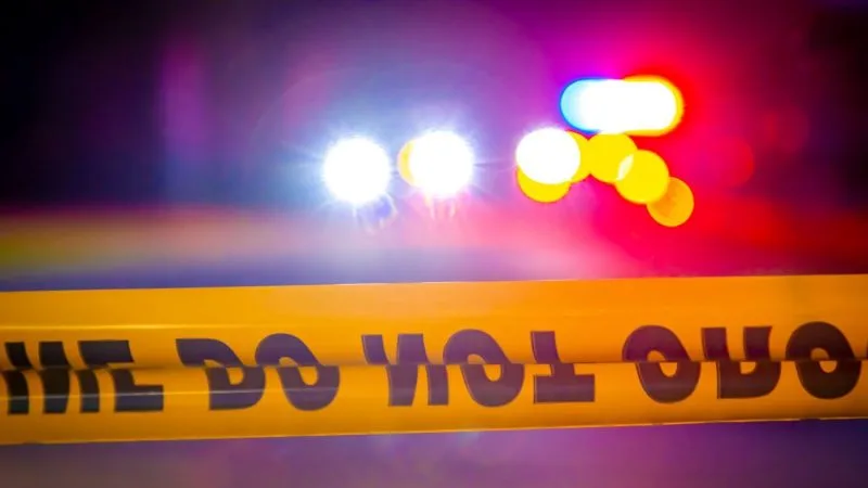 Two dead, one in custody after disturbance call, police pursuit in Alton