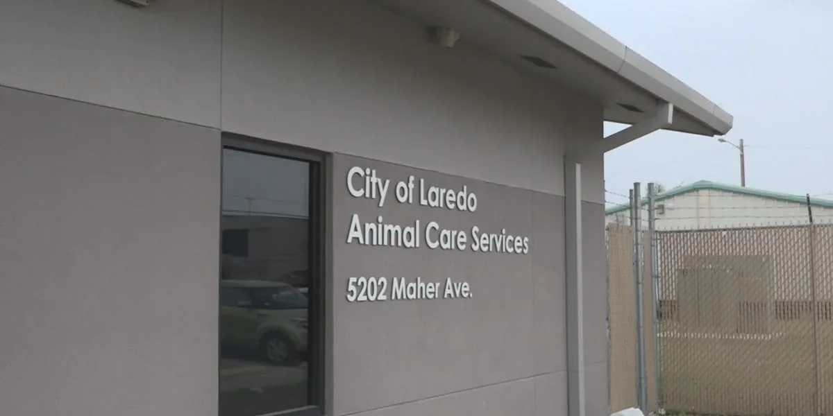 LACS offers sleepover program for shelter pets