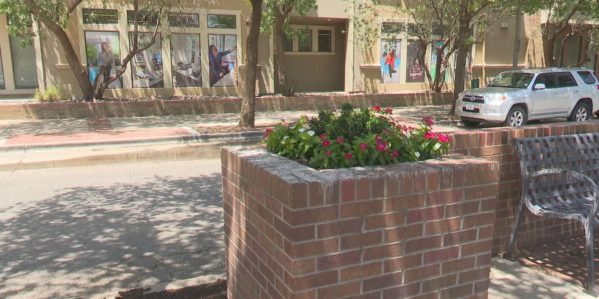 Lubbock approves contract to control grackle problem in North Overton