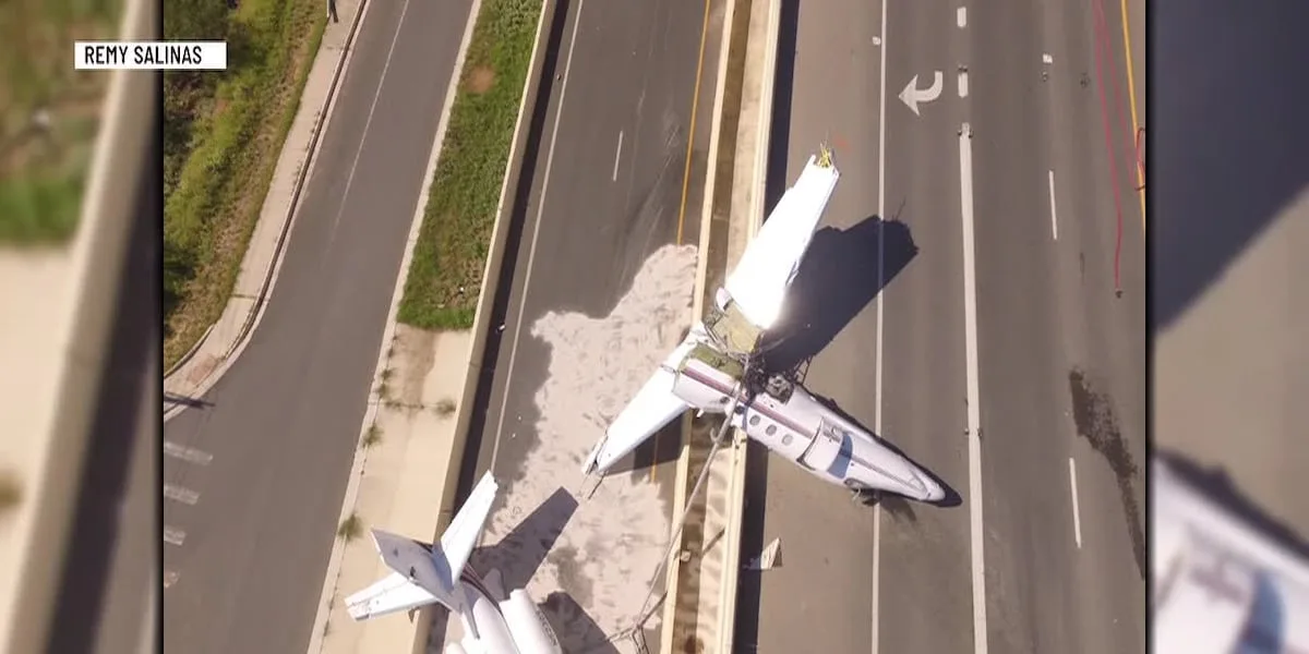 Aviation expert explains emergency procedures after plane crash