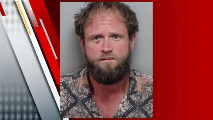 Affidavit: Man repeatedly slammed kitten on counter inside business on Northeast Side