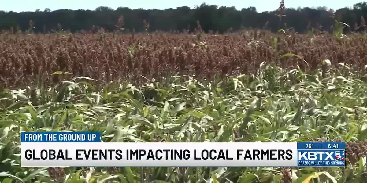 From the Ground Up: Global events impacting local farmers