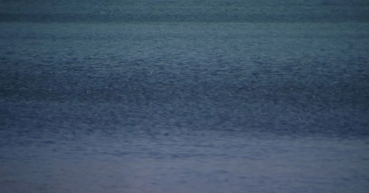 Missing woman's body confirmed found in Guadalupe River