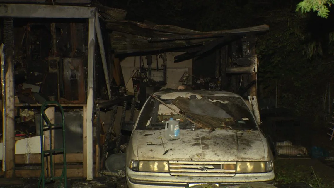 Dallas neighbors rally around injured residents after house fire kills 3 dogs
