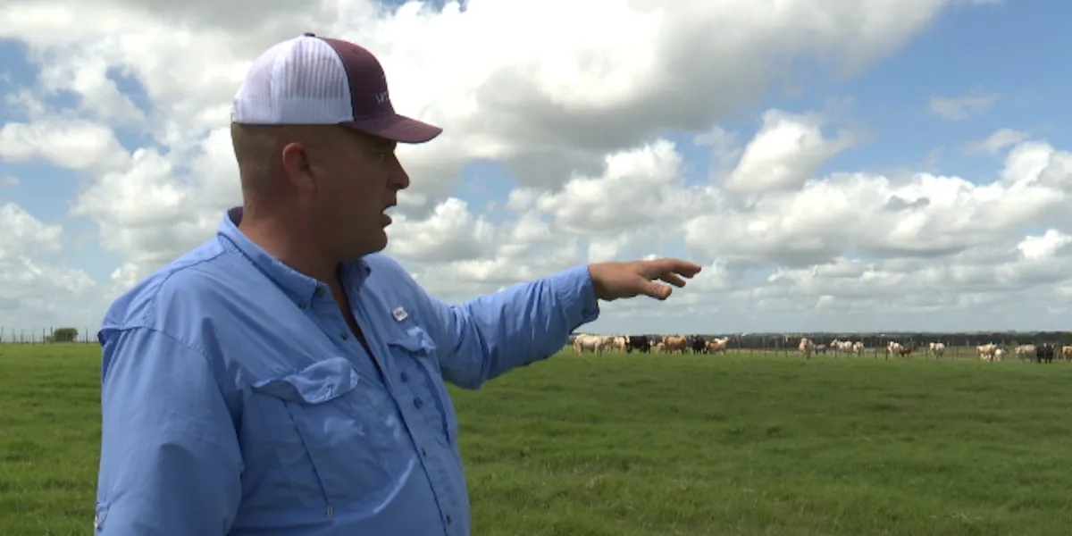 Texas ranchers prepare for screwworm as USDA confirms 5 cases in Texas