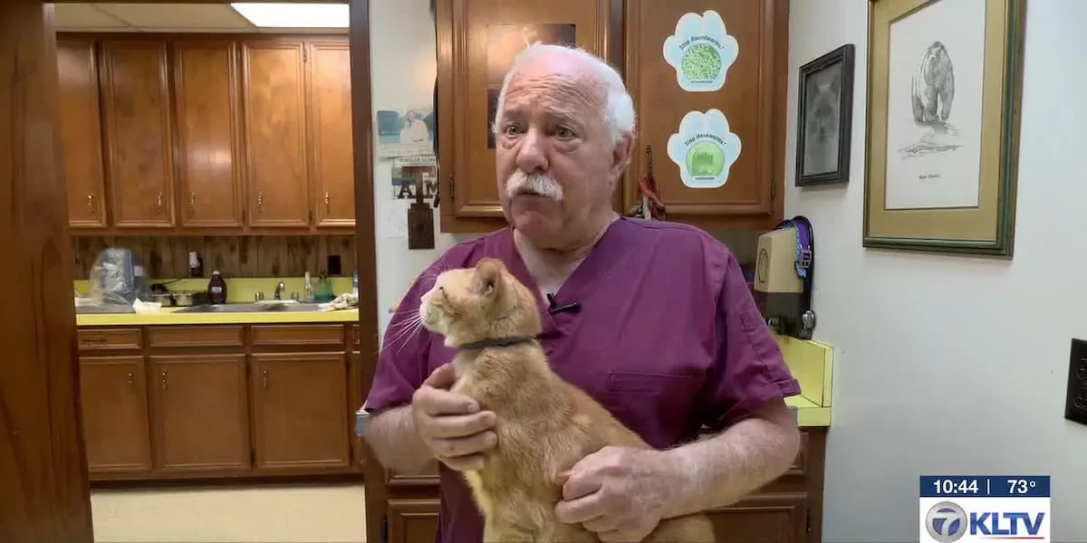 East Texas veterinarian sees upticks in ticks, fleas