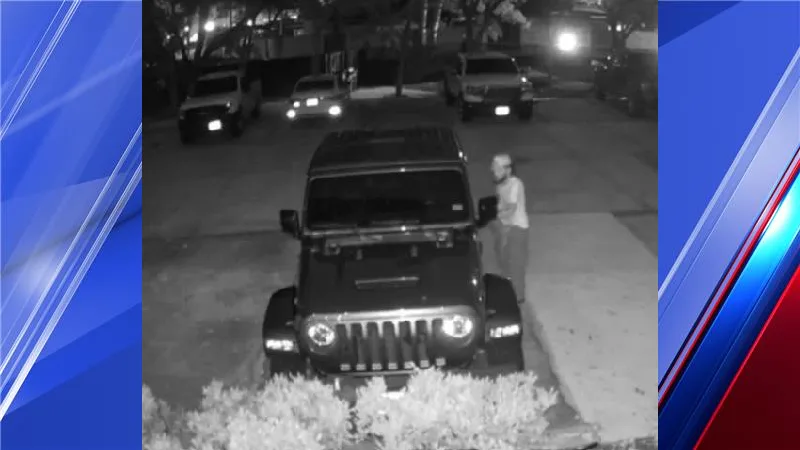 Brownsville police seek public's help in vehicle burglary case