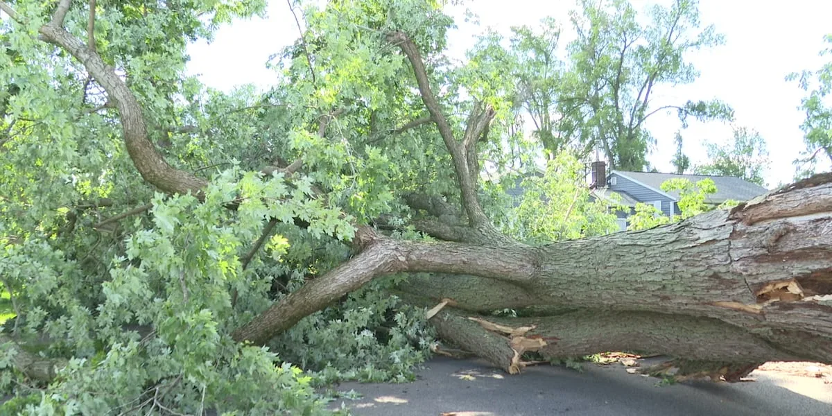 Governor issues disaster declaration ahead of severe weather