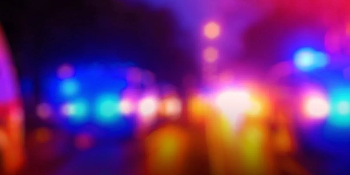 Man accused of cutting off his genitals, using them to start a fire, authorities say