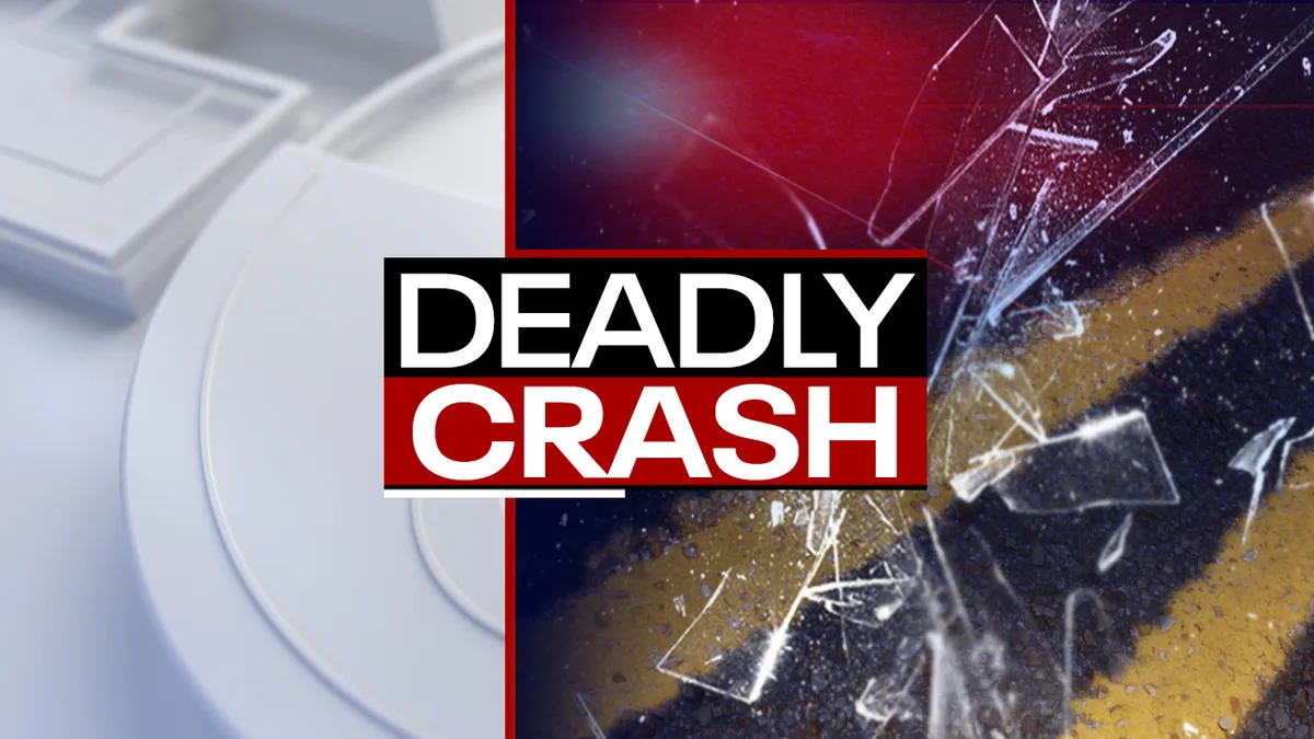 Head-on crash between DFW and Waco in leaves six dead, including two children